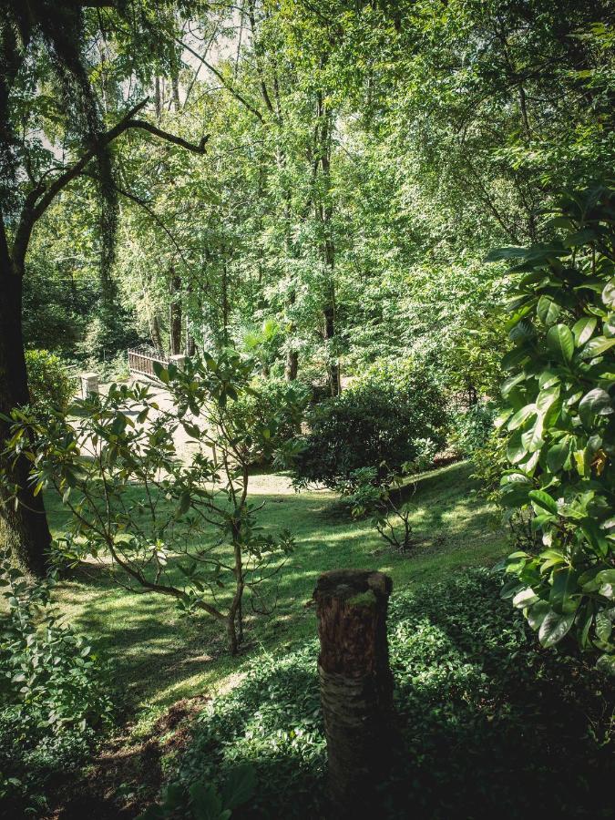 Corte Di Cavne' Villa Miazzina Kültér fotó